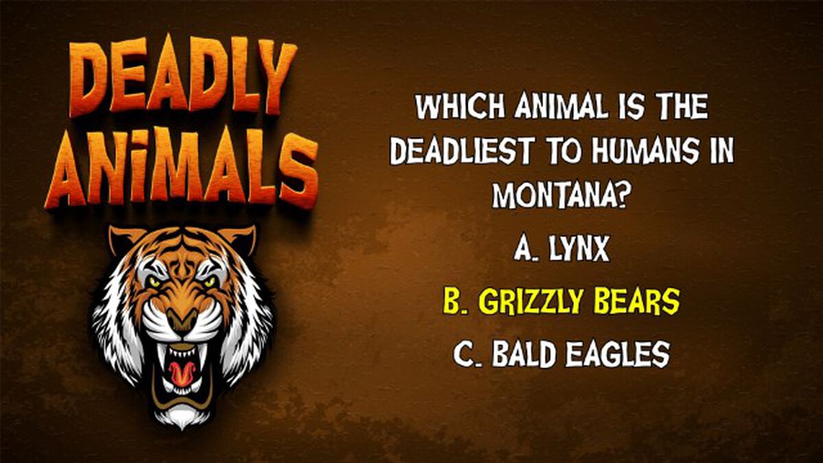 Deadly Animals Round Two image number null